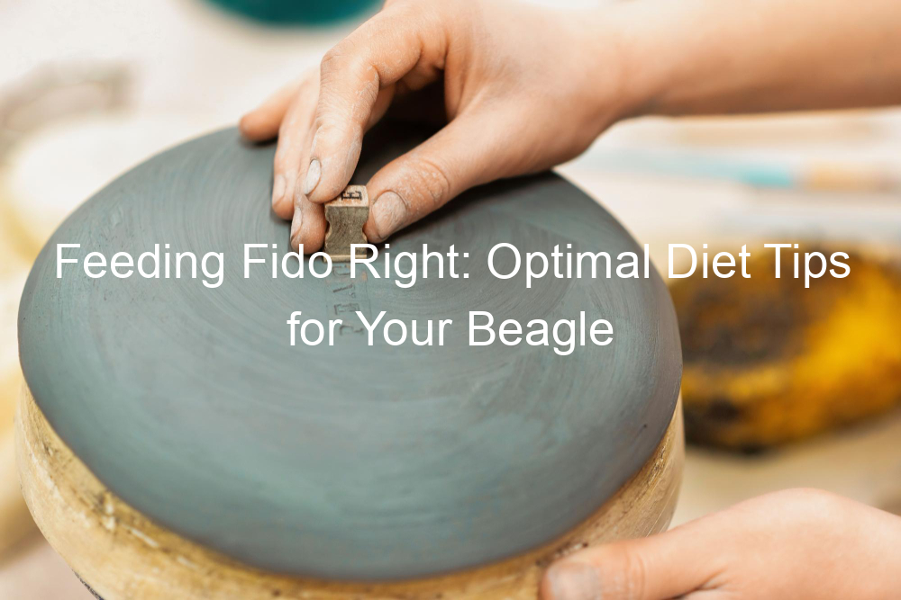 Feeding Fido Right: Optimal Diet Tips for Your Beagle
