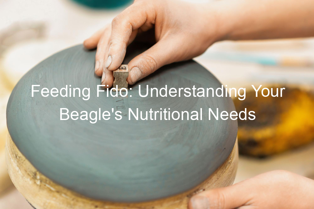 Feeding Fido: Understanding Your Beagle's Nutritional Needs