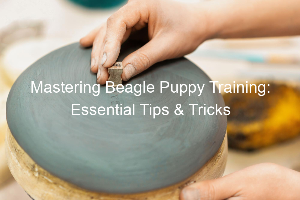 Mastering Beagle Puppy Training: Essential Tips & Tricks