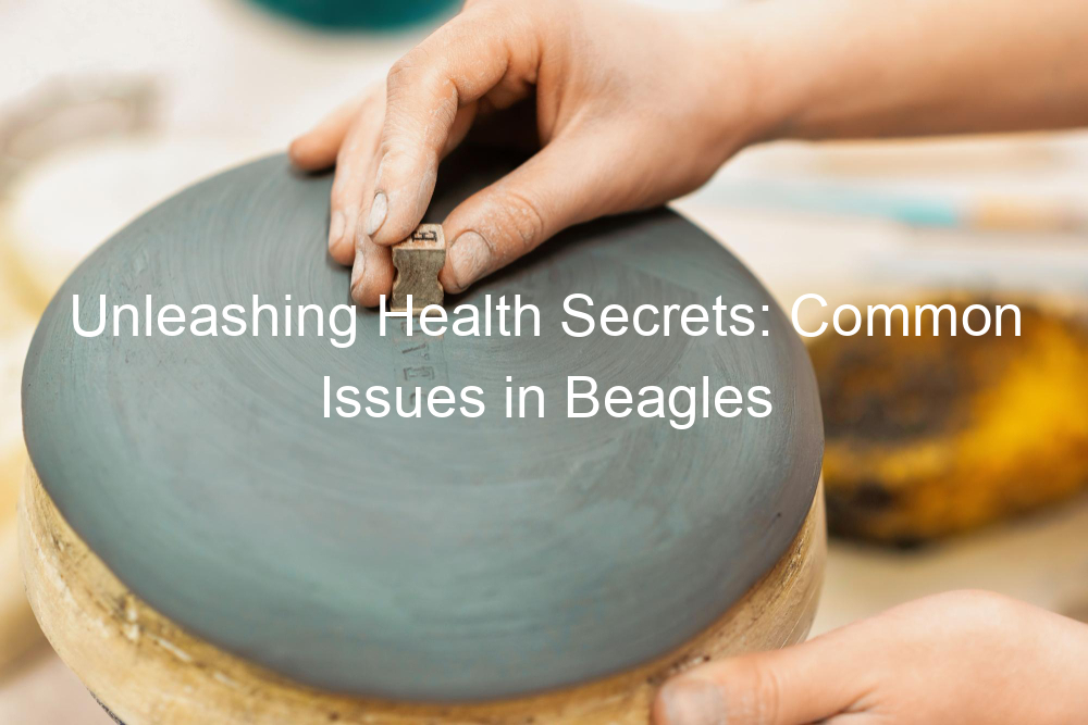 Unleashing Health Secrets: Common Issues in Beagles