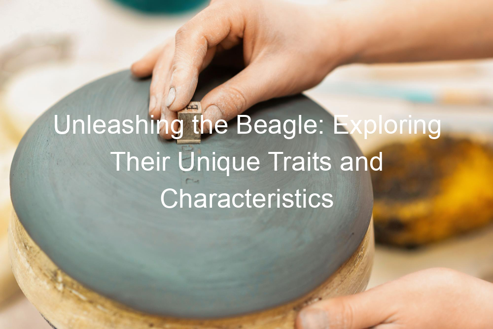 Unleashing the Beagle: Exploring Their Unique Traits and Characteristics